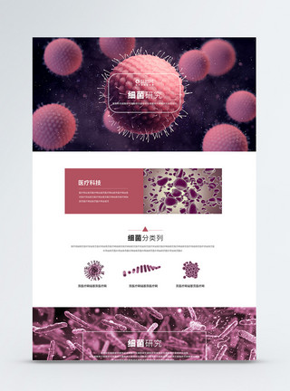 神经医学细菌科学医疗web官网首页模板