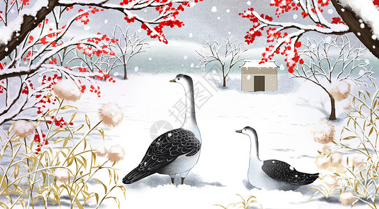 大雪景冬天大鹅与雪景插画