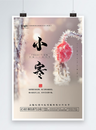 雪中国小寒24节气海报模板