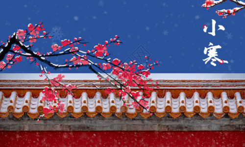 中国画梅花简约传统节气小寒海报GIF高清图片