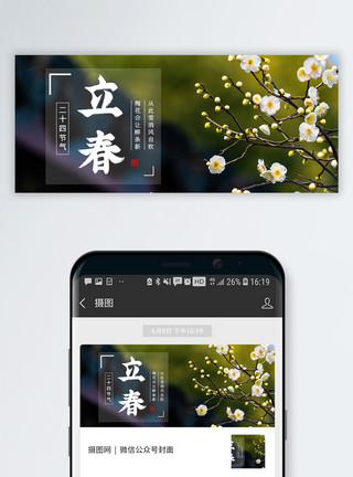 立春桃花二十四节气立春微信公众号封面模板