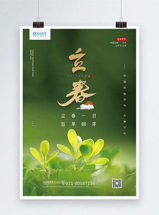 中国风立春海报绿色清新24节气立春海报模板