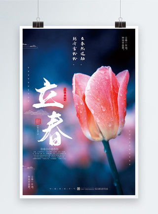 中华传统节气立春传统民俗节气海报模板