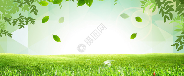 绿色草地背景背景图片