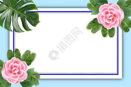 玫瑰蓝植物边框春天背景设计图片