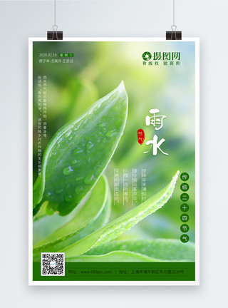 中国节气雨水嫩绿清新雨水节气海报模板