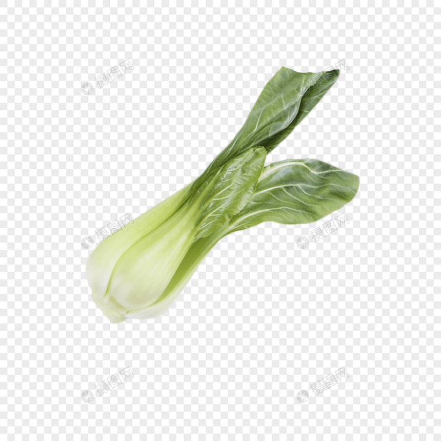 绿色食品油菜图片