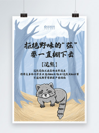 动物浣熊拒绝野味公益文化宣传海报之浣熊模板
