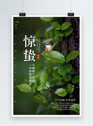中国风树简约绿色惊蛰24节气海报模板