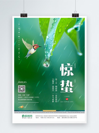 雨季简约二十四节气惊蛰海报模板