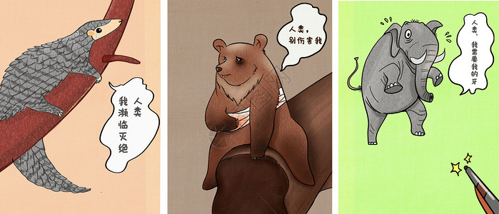 捕猎棕熊没有买卖就没有伤害保护野生动物插画