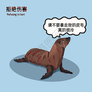 皮毛海狮保护动物拒绝伤害禁止杀戮海豹插画