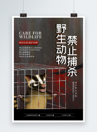 禁止捕杀野生动物公益海报模板