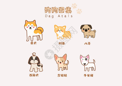 柯基与柴犬原创手绘小清新狗狗图鉴插画