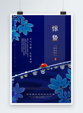 蓝色的昆虫矢量图蓝色简约中国风惊蛰海报模板