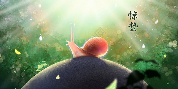 蜗牛贝壳惊蛰节气阳光下的蜗牛插画