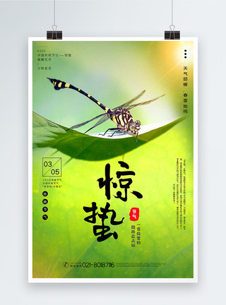 树叶上蜻蜓绿色写实风惊蛰节气海报模板