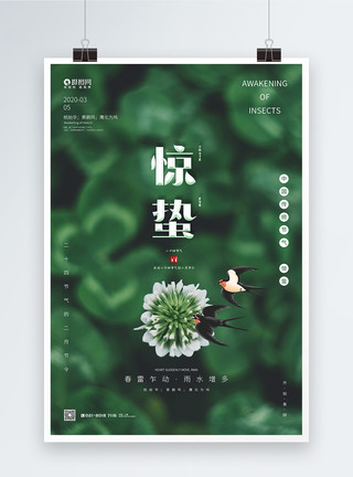 飞鸟鹰燕子飞翔中国传统二十四节气惊蛰海报模板