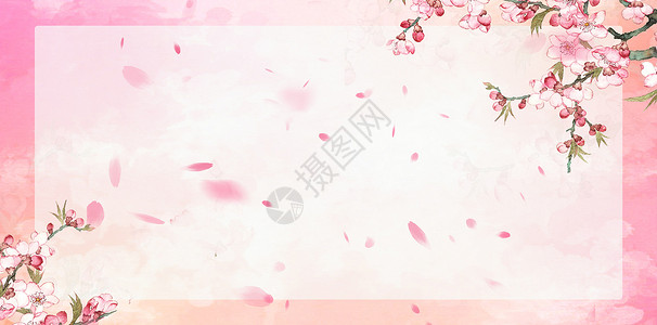 粉色桃花与树枝春天背景设计图片