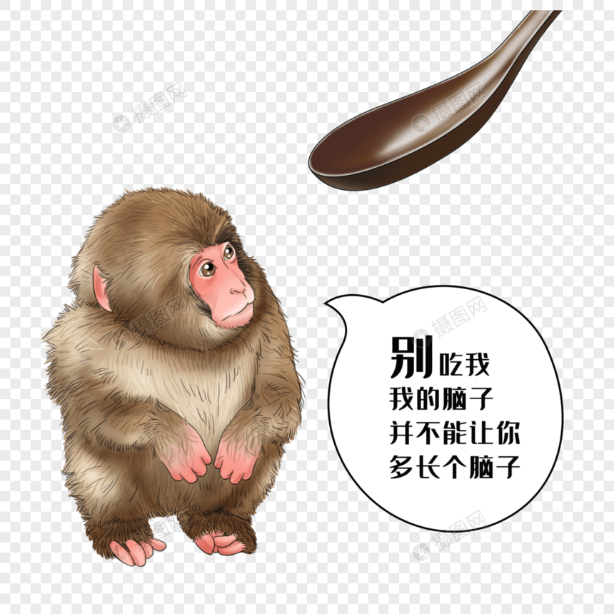 禁食野味猴子图片