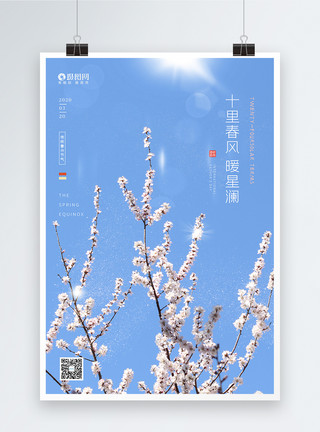 花枝植物边框清新十里春风桃花春分节气海报模板