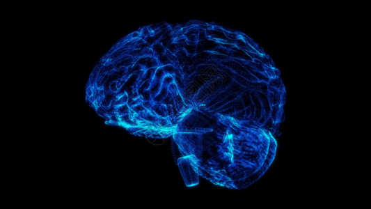 模特视频素材三维大脑全息粒子大脑视频素材GIF高清图片