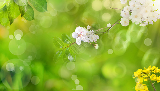 雨停了春季背景设计图片