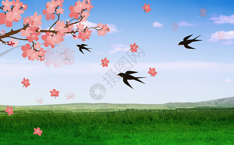 蓝天树枝春天背景设计图片