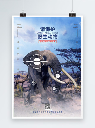 禁止猎杀野生动物请保护野生动物公益海报模板