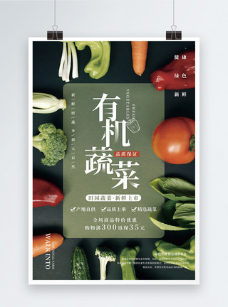 山村田园有机蔬菜促销海报模板