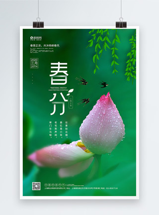 花朵荷花清新绿色二十四节气春分宣传海报模板