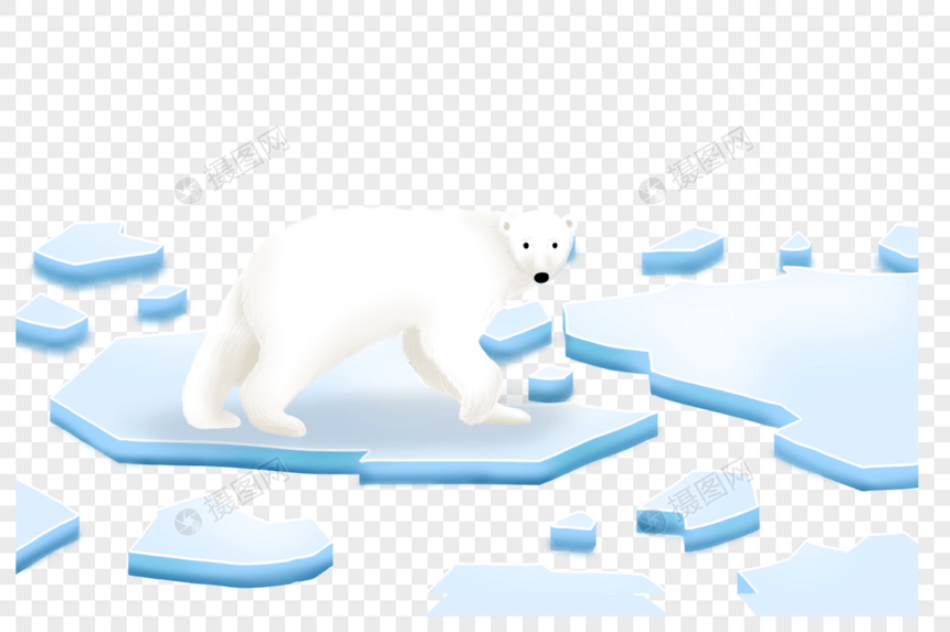 融化冰块上的北极熊图片