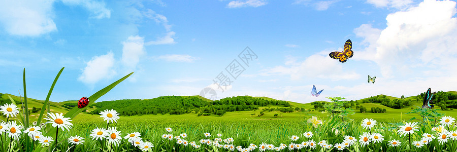 花卉草地边框春天背景设计图片