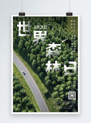 绿化树木3月21日世界森林节节日宣传海报模板