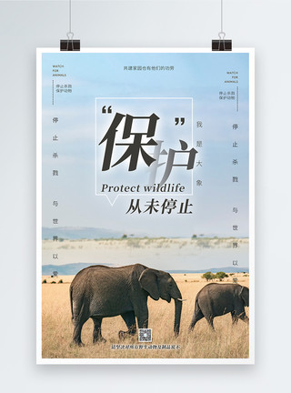 象牙保护野生动物从未停止公益海报模板