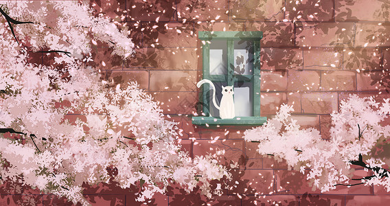春暖花开开放樱花树高清图片