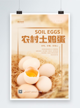 农村就业农村土鸡蛋促销海报模板