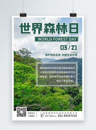 里戈世界森林日保护森里宣传海报模板