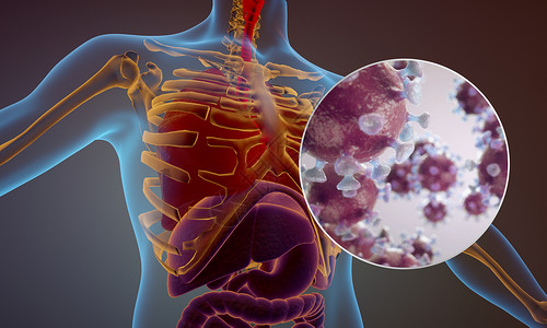 腹部检查人体肺部病毒X光片设计图片