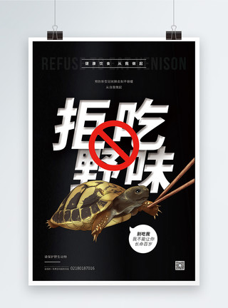 玳瑁龟拒吃野味保护野生动物公益海报模板