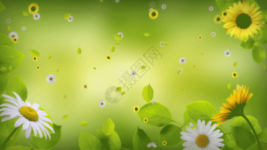 黄色小花素材春天绿色小花背景GIF高清图片