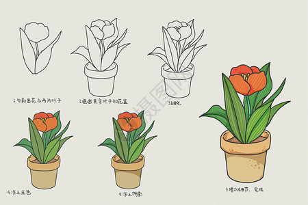 花卉简笔画教程背景图片