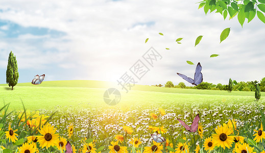 春季出游首页春天花卉草地背景设计图片