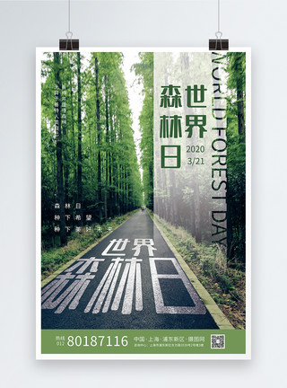 一片大叶子世界森林保护日海报模板