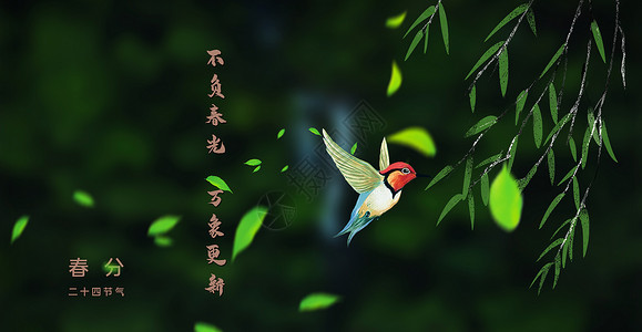 飞翔的鹦鹉二十四节气之春分设计图片