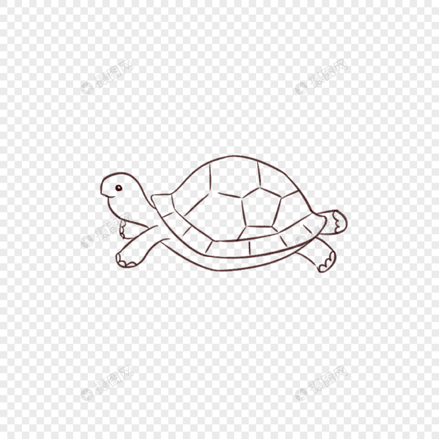 乌龟线稿图片