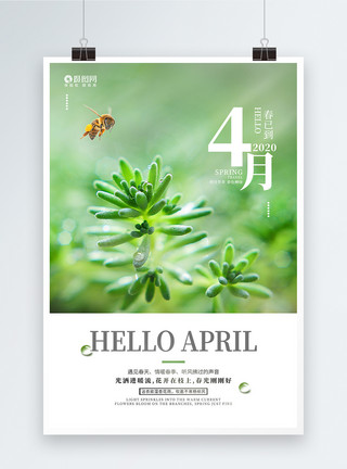 蜜蜂吸烟者清新你好四月踏青旅游海报模板
