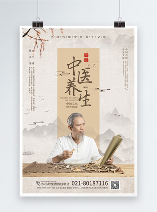 药材标本中国风中医养生海报模板