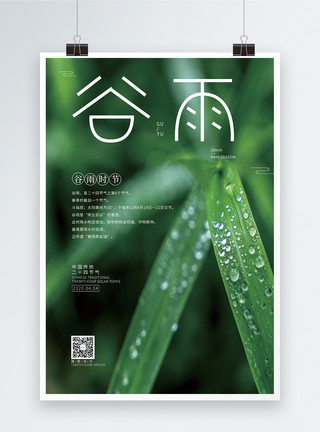 绿叶水珠谷雨二十四节气海报模板