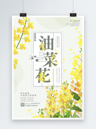 春天出行唯美清新春季油菜花旅游海报模板